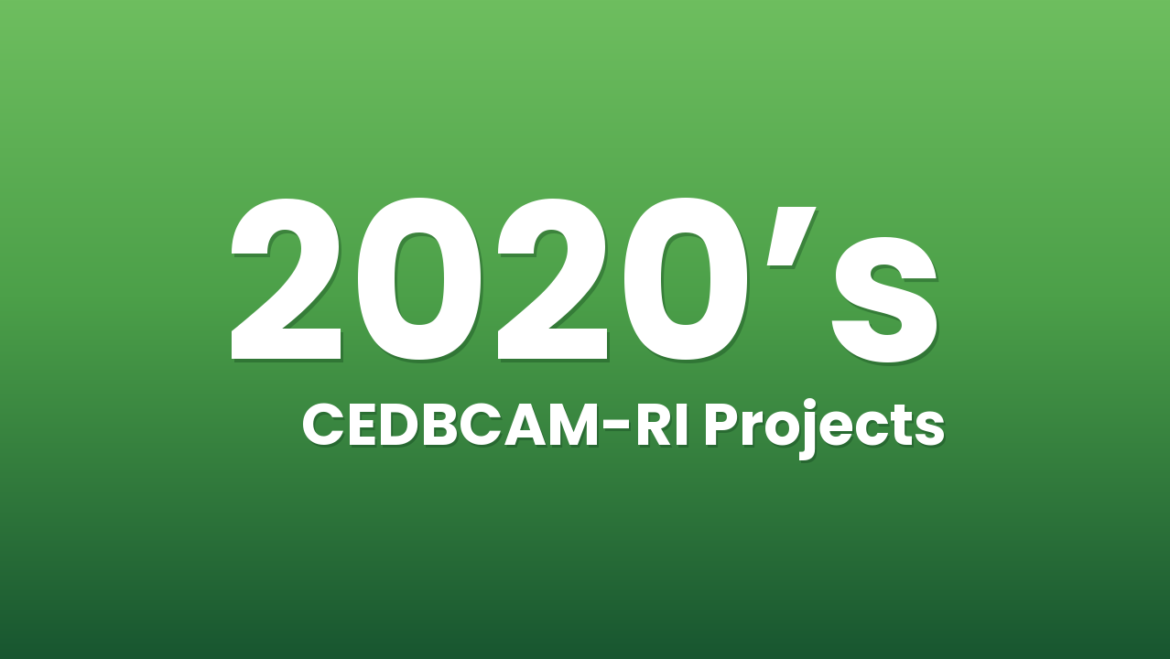2020’s project