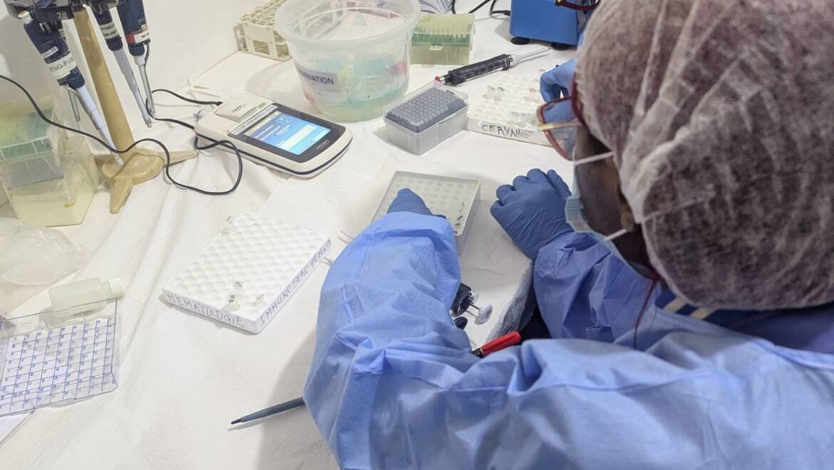 Bacterial genomes in days, not months.